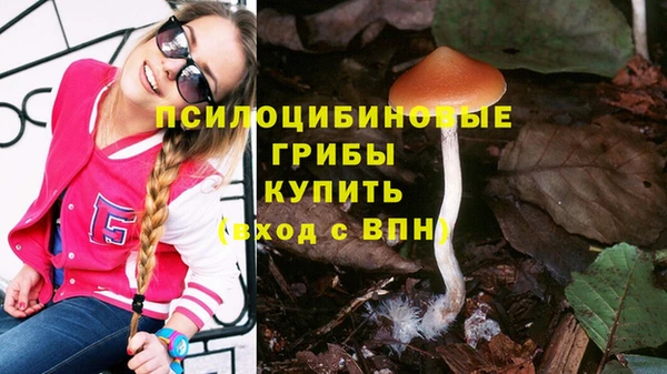 Альфа ПВП Видное