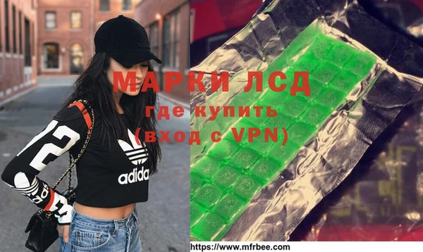 стафф Алзамай