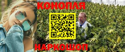 каннабис Сланцы