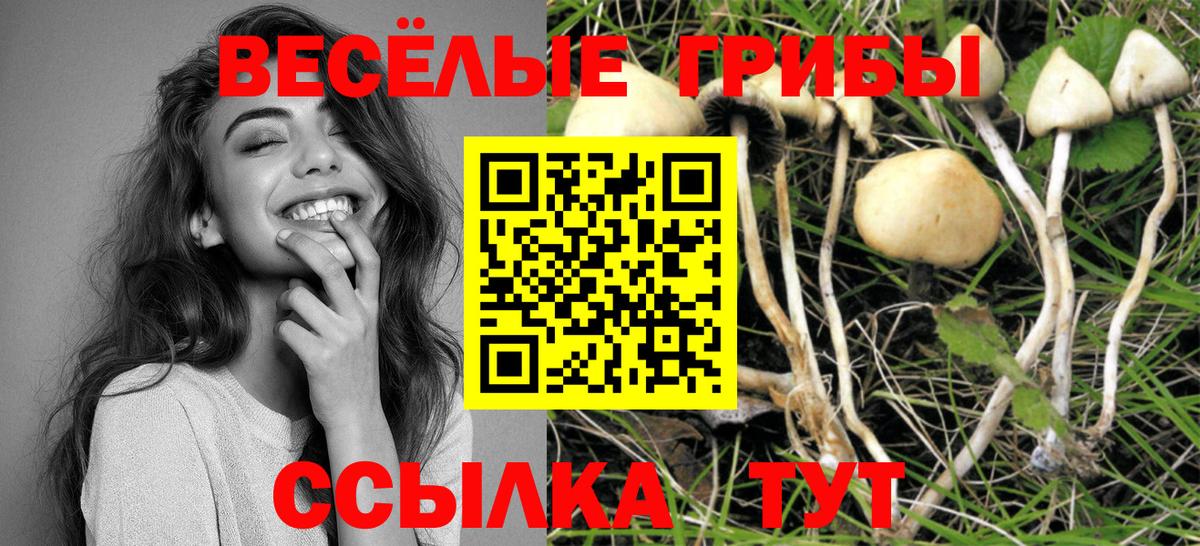 Псилоцибиновые грибы мухоморы  купить закладку  Слободской  Вход с VPN 