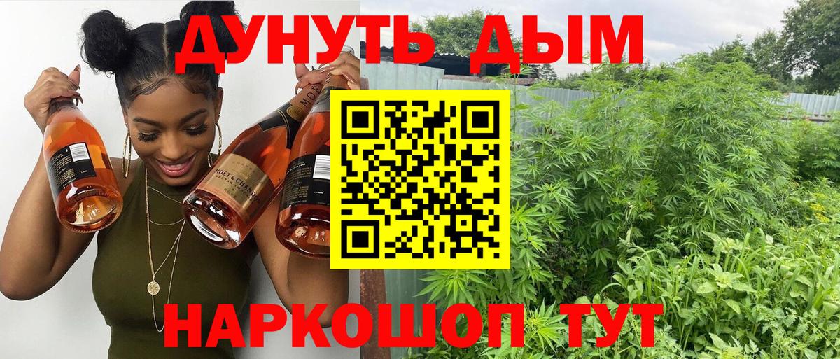 Марихуана Bruce Banner Слободской